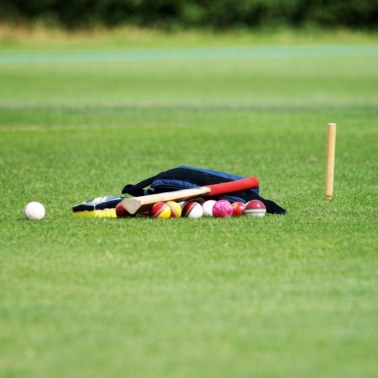 Qualifi Level 3 Diploma in the Principles of Cricket Coaching (R66T Academy) — cricket, cricket balls, coaching, ball, sport, sports, exercise, active, activity, fitness, health, training, cricket, cricket, cricket, cricket, cricket