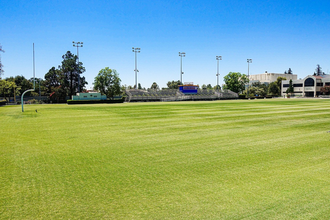 Qualifi Level 3 Certificate in Activating High Performance in Soccer Coaching — field, school, football, competition, grass, sport, touchdown, soccer, game, nature, team, ball, action, university, play, student, athlete, player, college, coaching