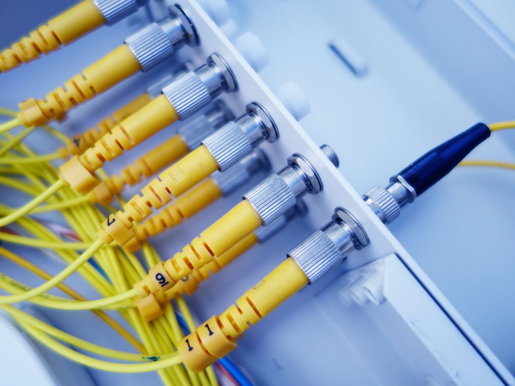 Network Routing and Switching — Close-up of yellow fiber optic cables in a network server, showcasing fast data transfer.