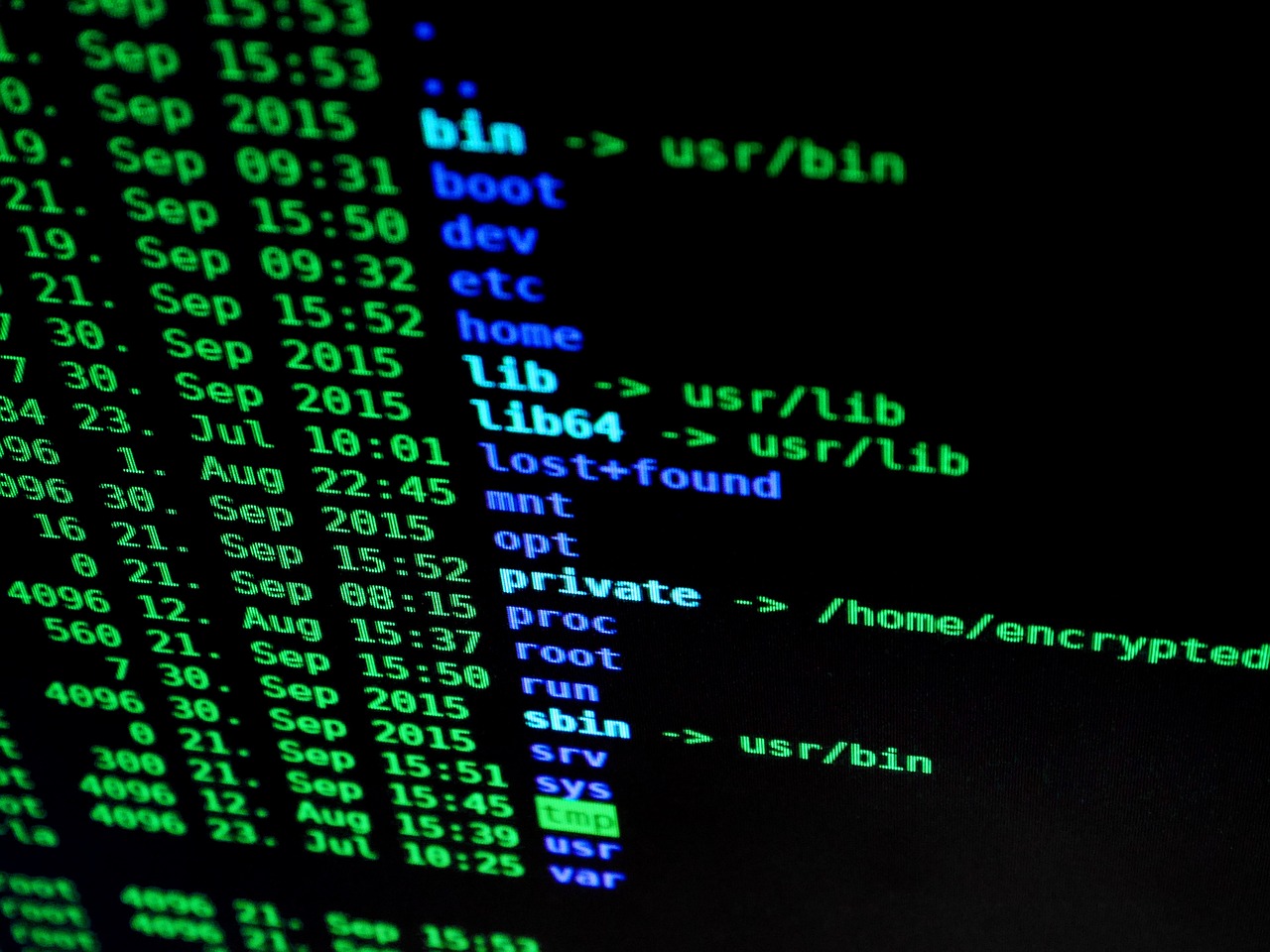 Database Security and Computer Programming — Hacking, hacker, computer, internet, security, data, technology, network, password, crime, hack, protection, spyware, spy, privacy, pc, firewall, computer security, cyber, data security, code, black computer, black technology, black laptop, black data, black network, black internet, black security, black code, black coding, hacking, hacking, hacking, hacking, hacker, hacker, hacker, hacker, hacker, hack, spyware, spy, firewall, cyber, cyber