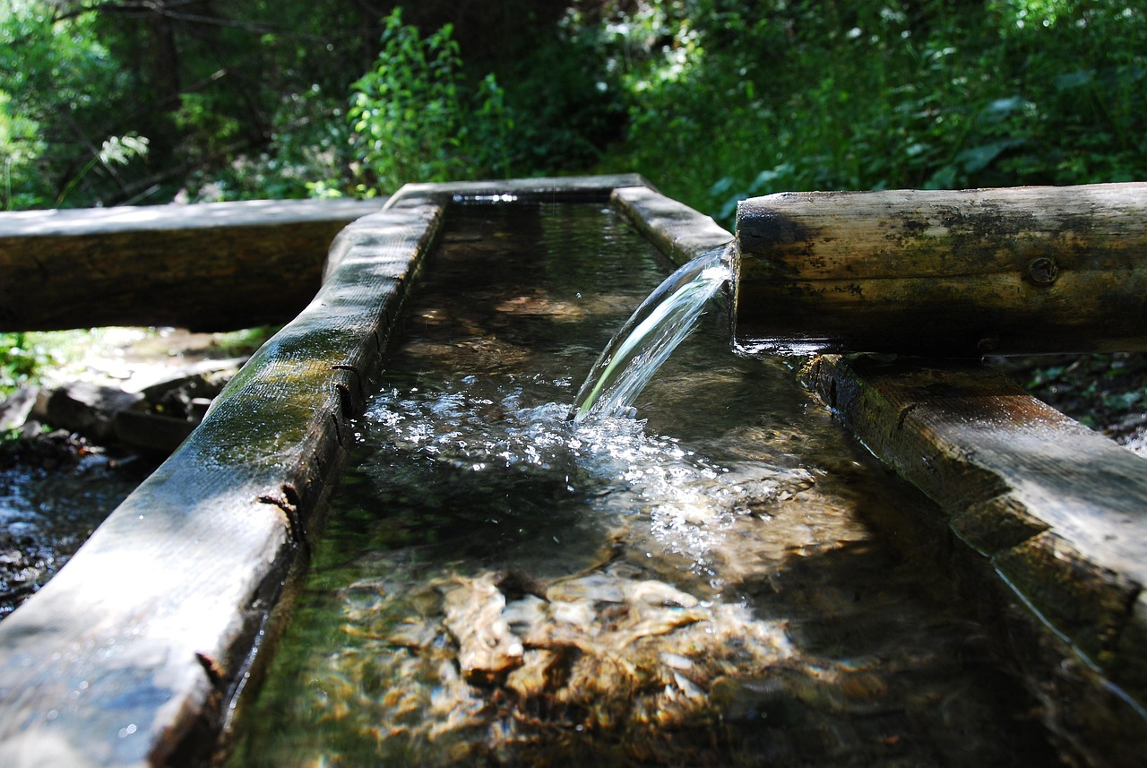 Sector Specific Supply Chain Resilience Management — Water, tube, fountain, nature, wood, management, flow, watercourse, water supply, lapping, water supply, water supply, water supply, water supply, water supply