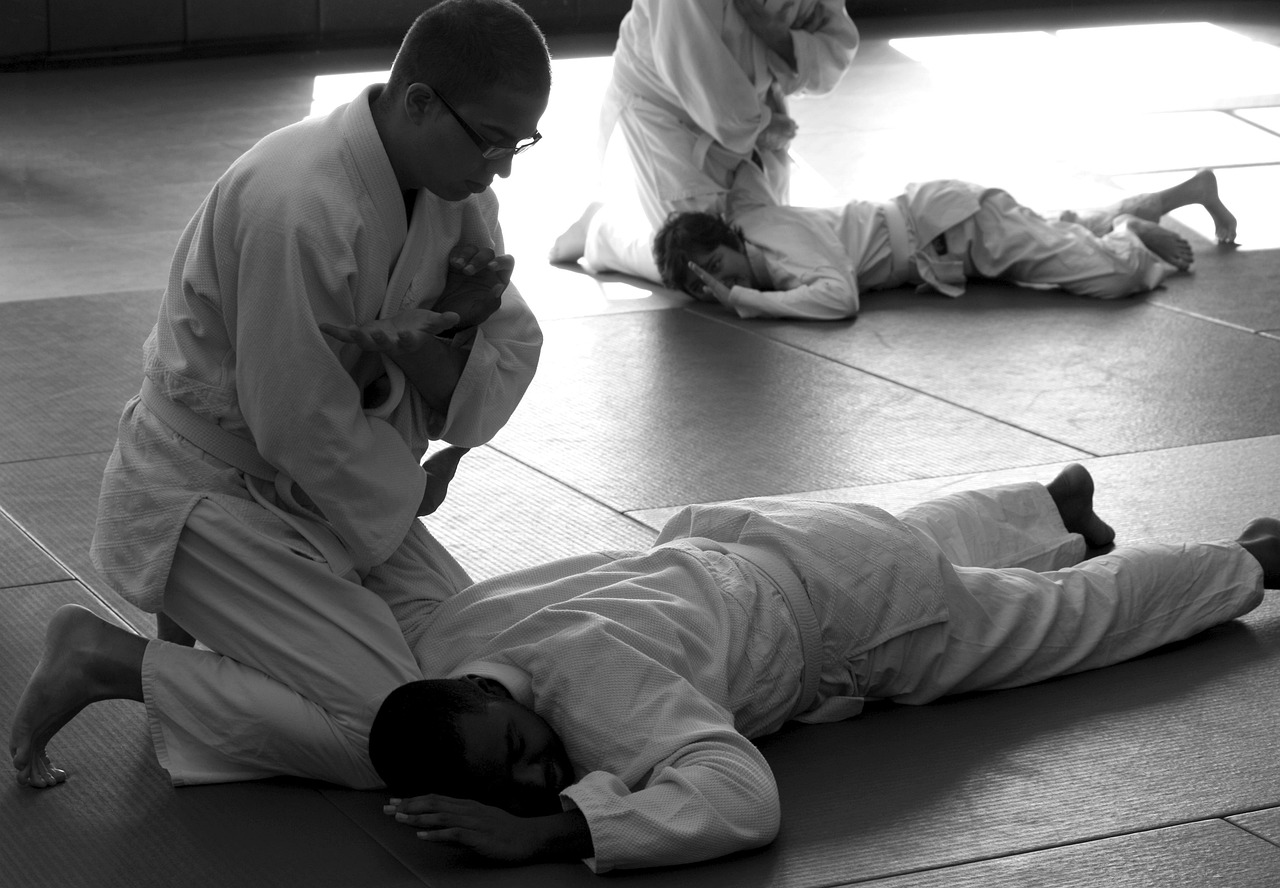 Micropigmentation techniques to enhance eyes — Aikido, martial arts, self-defense, learning, seminar, senseis, training, gray learning, gray art, gray training, aikido, aikido, aikido, aikido, aikido, martial arts, martial arts, martial arts, martial arts